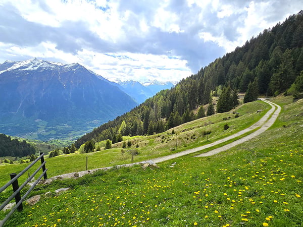 schönes Berghaus inmitten der Natur mit herrlichem Panoramablick 23