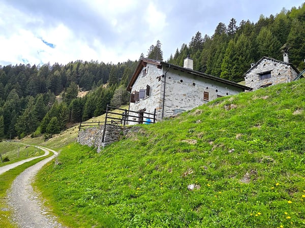 schönes Berghaus inmitten der Natur mit herrlichem Panoramablick 5