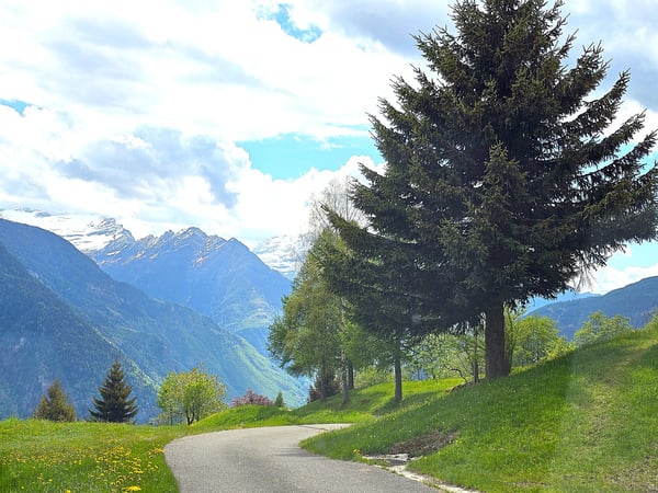 schönes Berghaus inmitten der Natur mit herrlichem Panoramablick 25