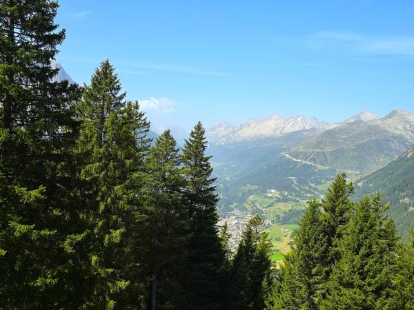 schönes Berghaus inmitten der Natur mit Grundstück und herrlicher Aussicht 24