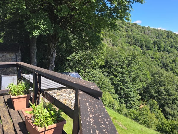 Bauernhaus inmitten der Natur mit Panorama Seeblick 23