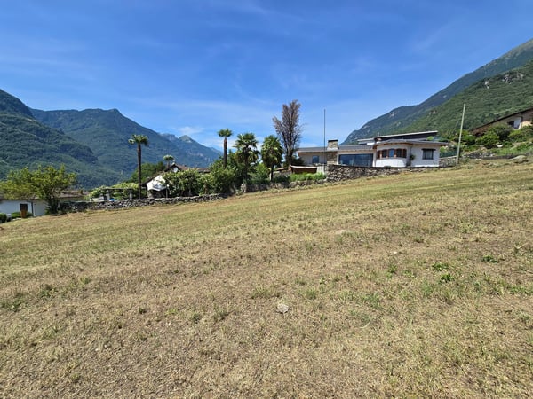 Terreno edificabile di 1559 m2 pianeggiante, soleggiato e tranquillo 5