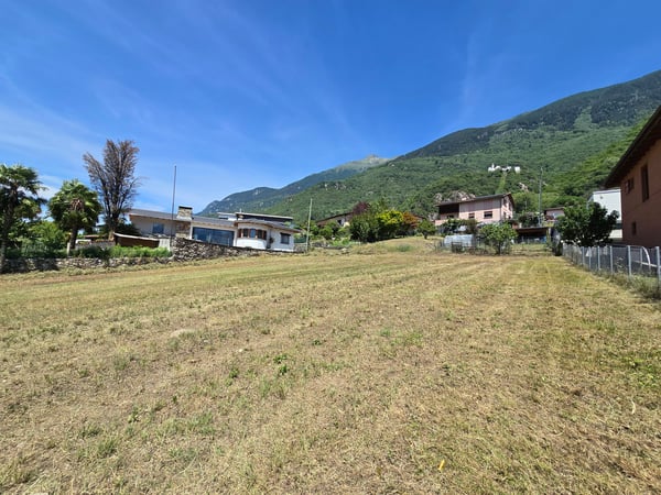Terreno edificabile di 1559 m2 pianeggiante, soleggiato e tranquillo 10