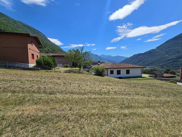 Terreno edificabile di 1559 m2 pianeggiante, soleggiato e tranquillo 7