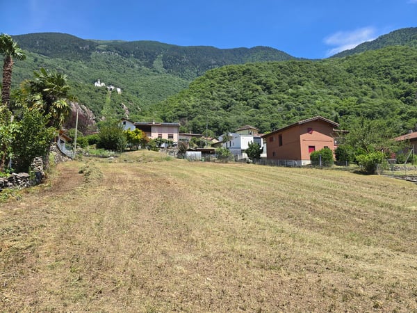 Terreno edificabile di 1559 m2 pianeggiante, soleggiato e tranquillo 4