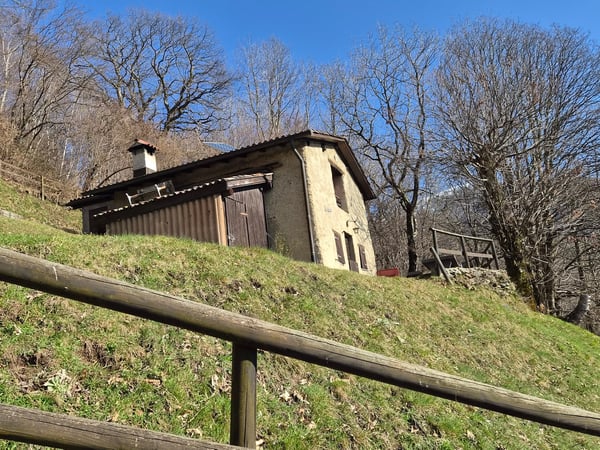 Schönes Bauernhaus inmitten der Natur mit Grundstück 3