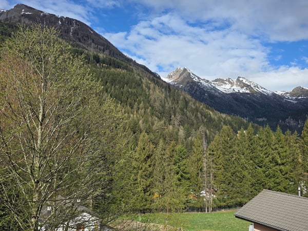 Schönes Doppelchalet mit Grundstück in der Nähe von San Bernardino 52