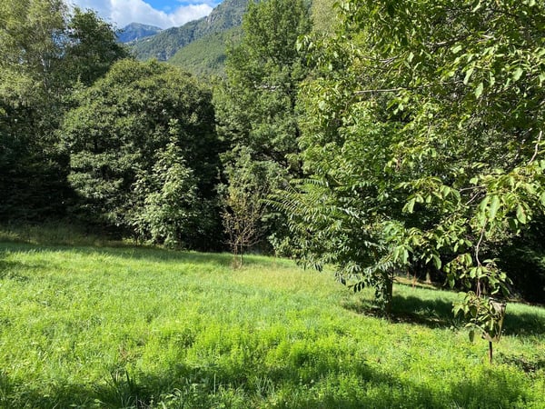 Rustico inmitten der Natur mit Land und schöner Aussicht 16