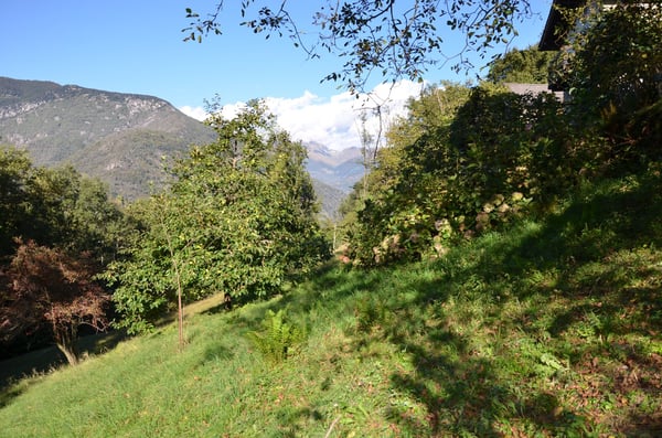 Rustico inmitten der Natur mit Land und schöner Aussicht 17