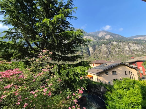 NUOVO PREZZO! anche RENT TO BUY. Moderna villa bifamiliare con ampio giardino, 31