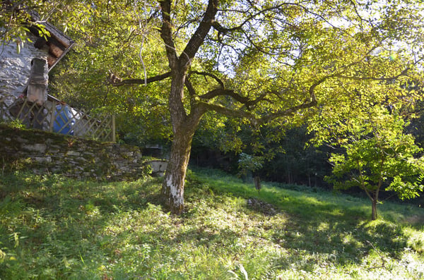 Rustico inmitten der Natur mit Land und schöner Aussicht 15