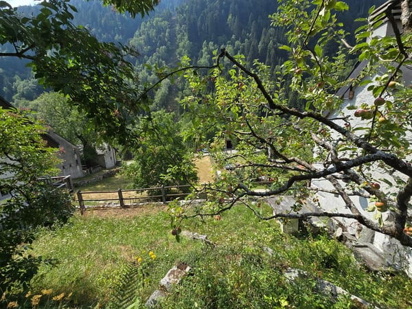 Wunderschönes Landhaus mit Garten und herrlicher Aussicht 26
