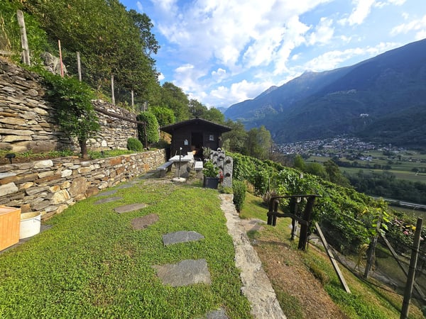 Rustico und Grotto mit grossem Grundstück und schöner Aussicht 18