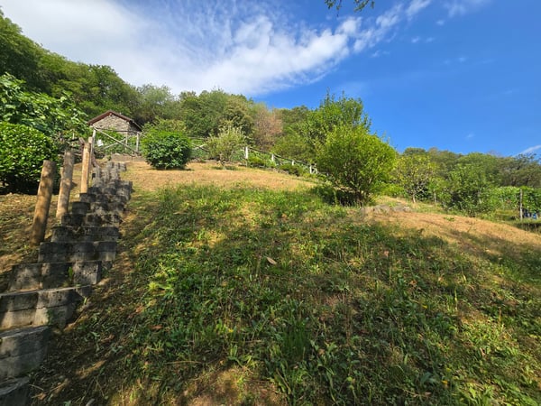 Rustico und Grotto mit grossem Grundstück und schöner Aussicht 25