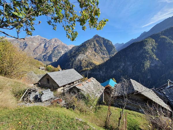 2 Bergbauernhöfe mit grossem Land an einem sehr sonnigen Ort 4