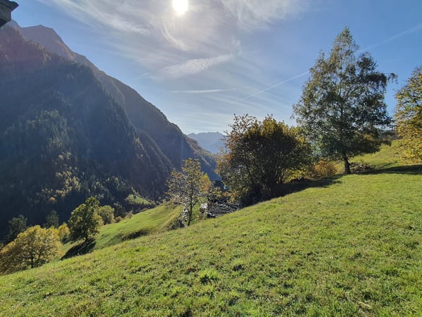 2 Bergbauernhöfe mit grossem Land an einem sehr sonnigen Ort 2