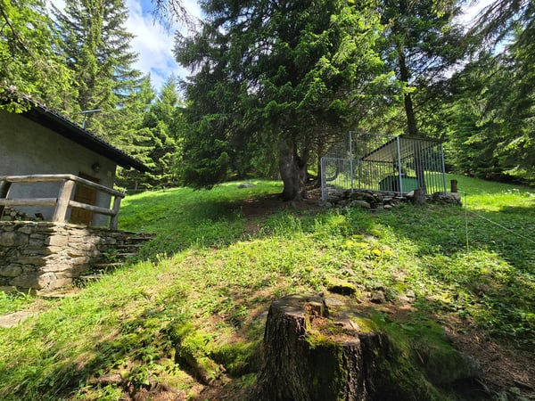 Schönes Chalet inmitten der Natur mit Grundstück und herrlicher Aussicht 30