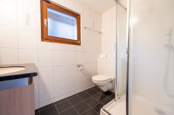 Idyllisch und stadtnah: Ihr neues Zuhause mit grosser Sonnenterrasse 10