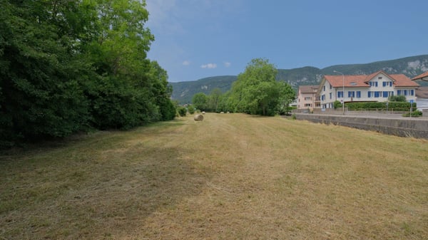 1'691 m² Landparzelle in Langendorf 3