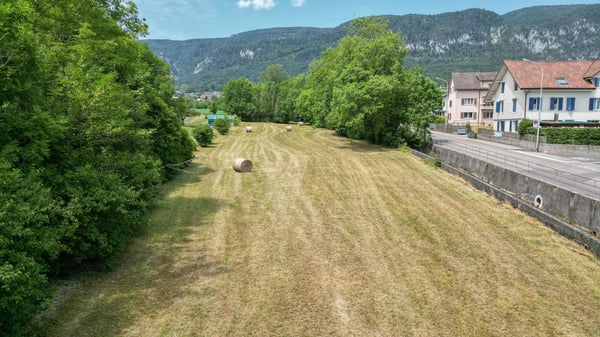 1'691 m² Landparzelle in Langendorf 6