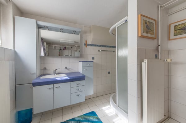 Ihr Zuhause im Grünen - Doppelhaushälfte mit grossem Garten 12