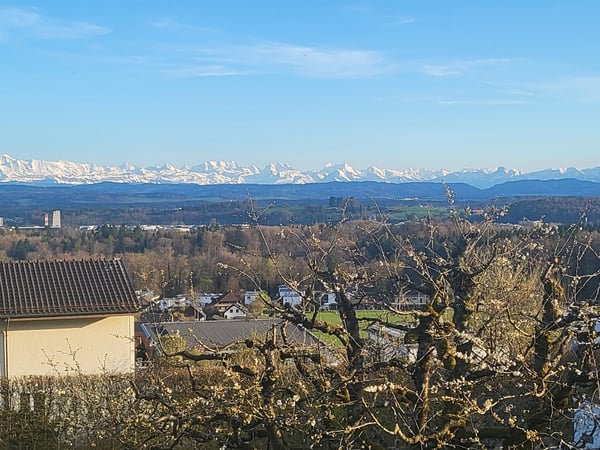 Sehr gepflegtes Architektenhaus mit zeitlosem Charme und Weitblick 12