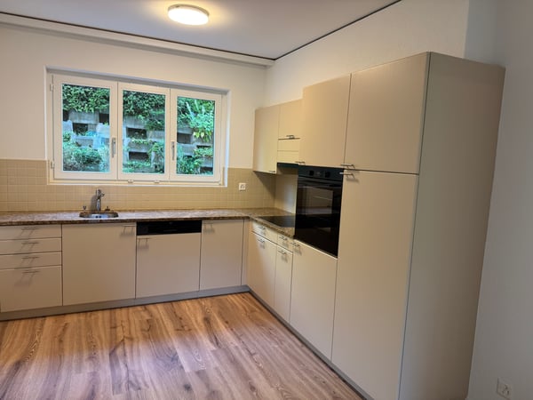 5.5-Zimmer-Reiheneckhaus mit Garten in Adligenswil mieten 8
