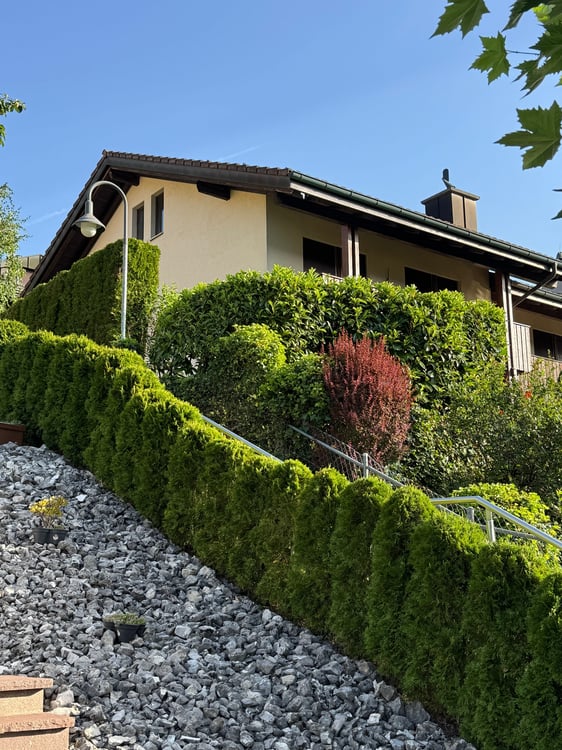 5.5-Zimmer-Reiheneckhaus mit Garten in Adligenswil mieten 2