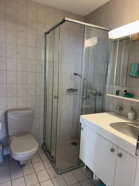 2.5-Zimmer-Attikawohnung mit Panoramasicht in Brissago kaufen 11