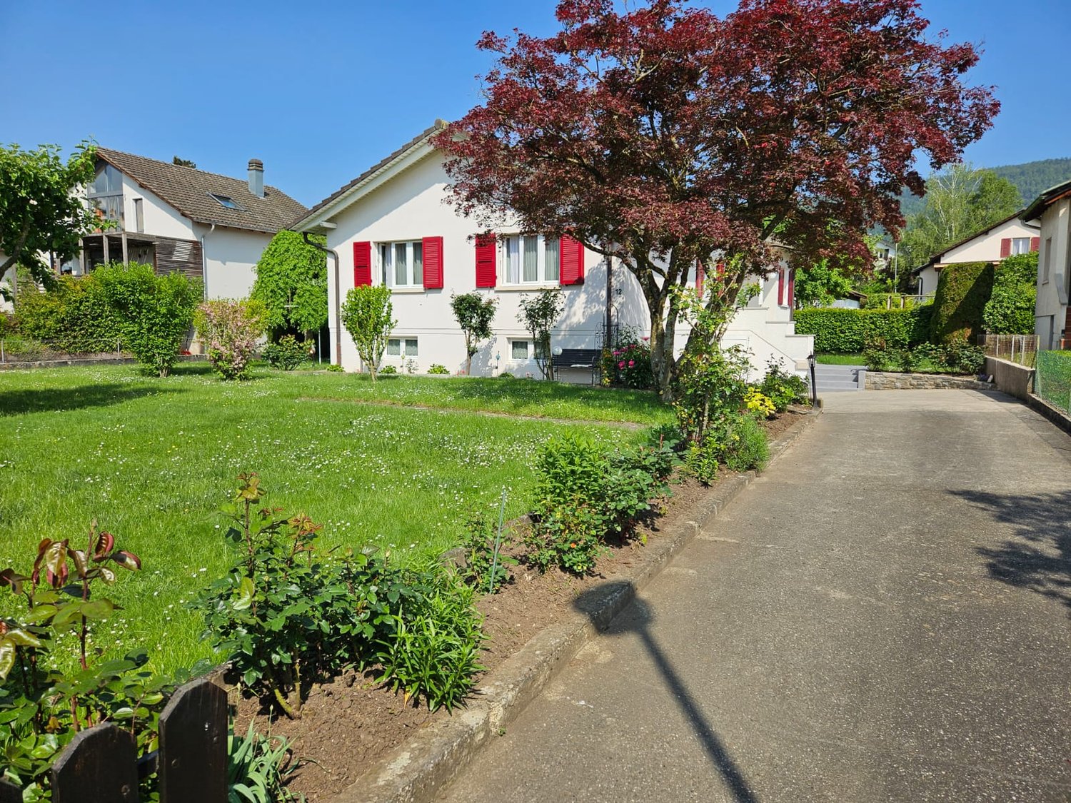 White house with red shutters, driveway, garden with various plants and a tree, neighboring houses in the background