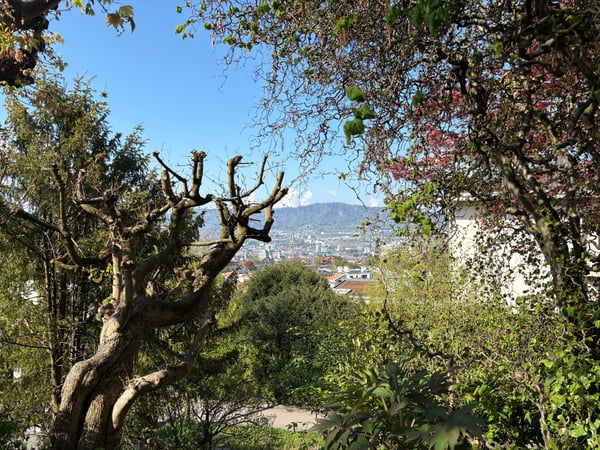 Befristet: 3.5-Zimmer-Wohnung mit Terrasse und schöner Aussicht an bester Lage in Zürich 8