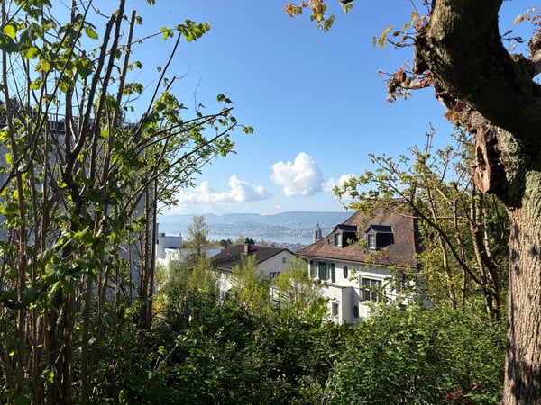 Befristet: 3.5-Zimmer-Wohnung mit Terrasse und schöner Aussicht an bester Lage in Zürich 7