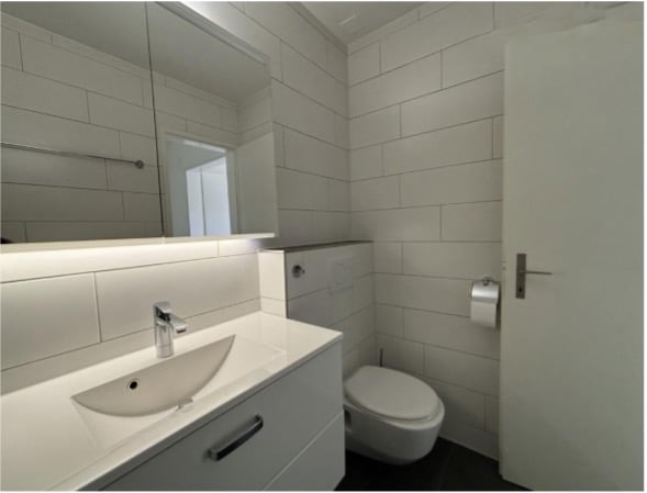 Helle und gepflegte 2.5-Zimmer-Dachwohnung in Effretikon ZH 9