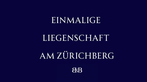 Einmalige Liegenschaft am Zürichberg 1