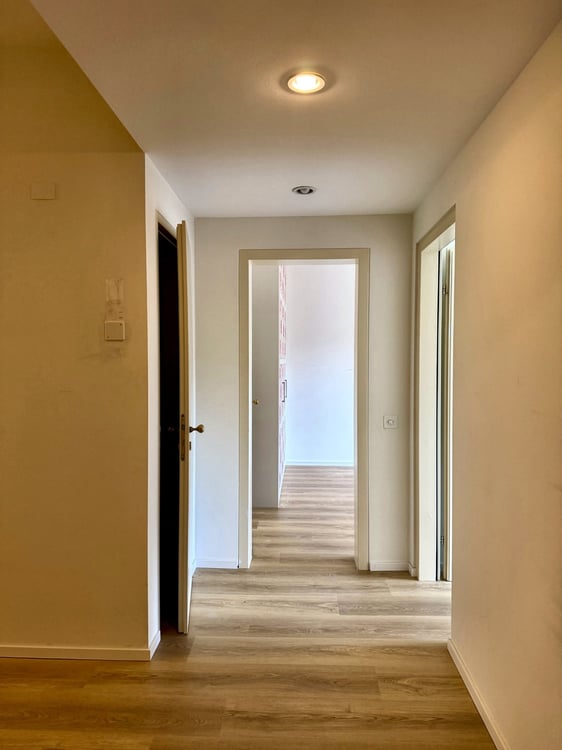 Elegante duplex di 4.5 locali con giardino a Lugano 6