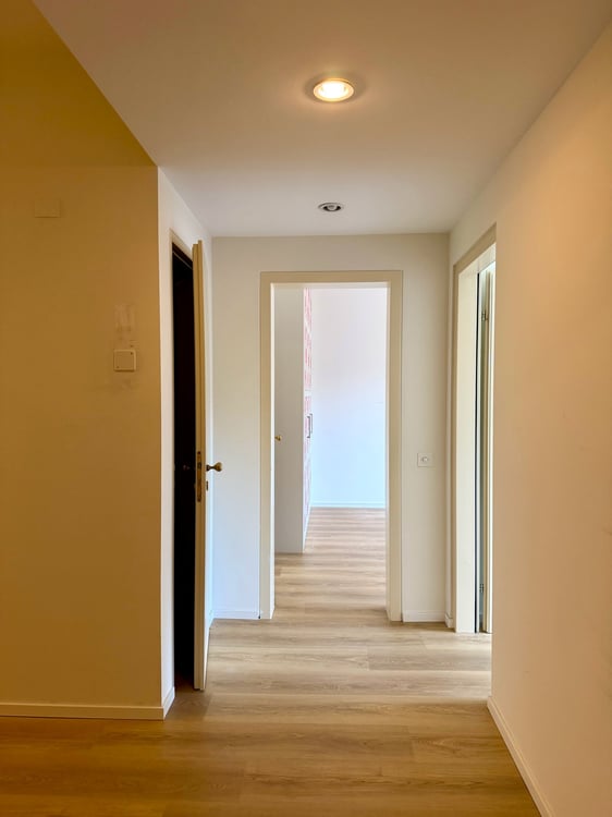 Elegante duplex di 5.5 locali con giardino a Lugano 7