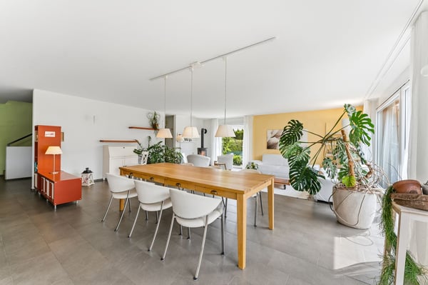 5.5-Zimmer-EFH mit grossem Garten in Hochdorf - effizient 11