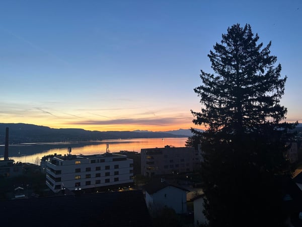 Exklusives Wohnen mit traumhafter Seesicht am Zürichsee - 2025/26 komplett exklusiv renoviert 10