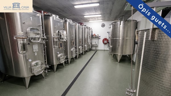 Wohnen & Gewerbe an sonniger, unverbaubarer Lage /  NF 242m² 7