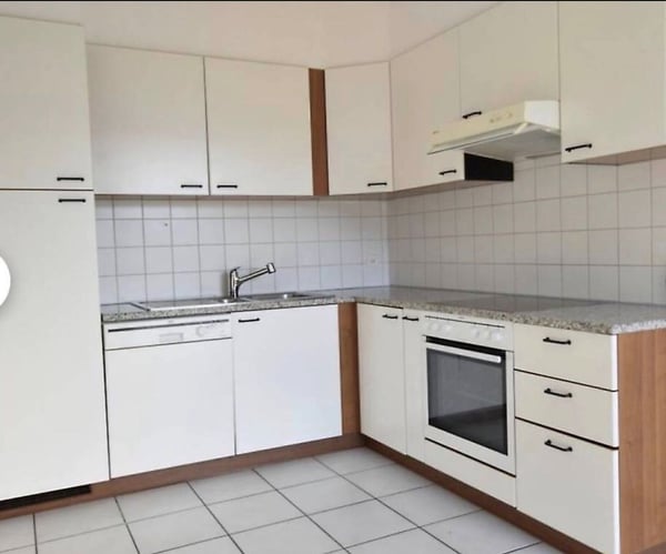Affittasi appartamento 4.5 locali con vista aperta 2
