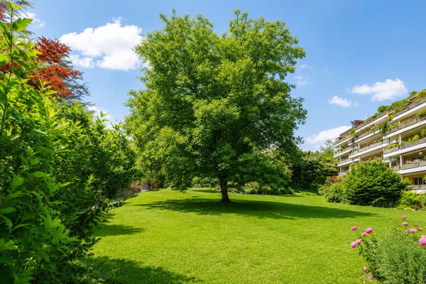 Idyllische Gartenwohnung mit Potenzial 7