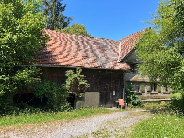 Viel Raum für Wohnen, Tiere und neue Ideen - aussergewöhnliches Anwesen in Wittenbach SG 4