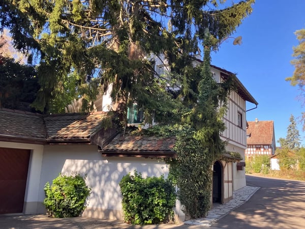 Ein Zuhause mit eigenem Grundstück - und Raum für besondere Ideen 5
