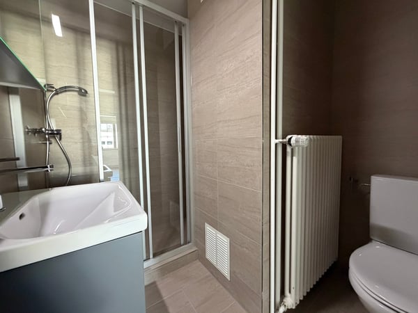Charmante 1.5-Zimmer-Dachwohnung an der Witikonerstrasse in Zürich 3