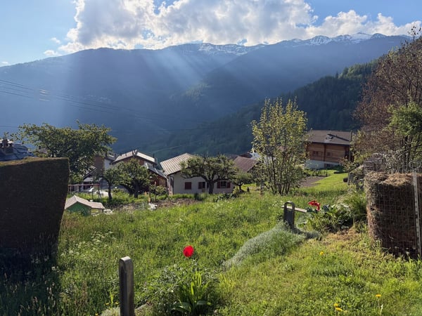 Très jolie parcelle de 968 m2 en zone résidentielle à Sornard en zone H30 à Nendaz avec accès direct 1