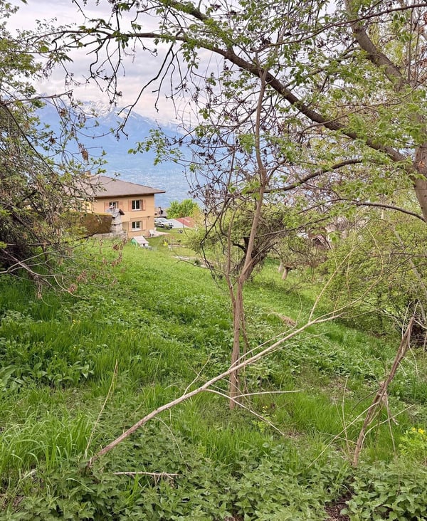 Très jolie parcelle de 968 m2 en zone résidentielle à Sornard en zone H30 à Nendaz avec accès direct 2