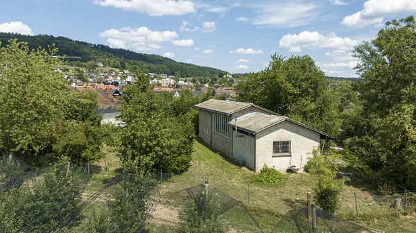 Unterengstringen: denkmalgeschütztes Wohn- und Atelierhaus im Grünen 2