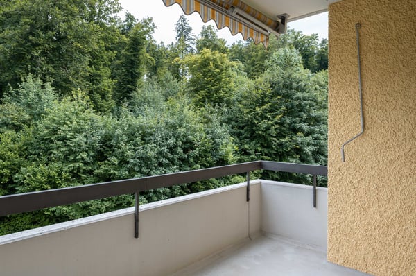 Blick ins Grüne und zentrale Lage - das kann Ihr neues zu Hause sein 9