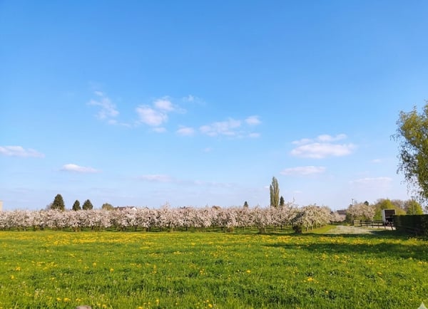 Letze 3.5-Zimmer-Gartenwohnung mit unverbaubarem Blick ins Grüne 2