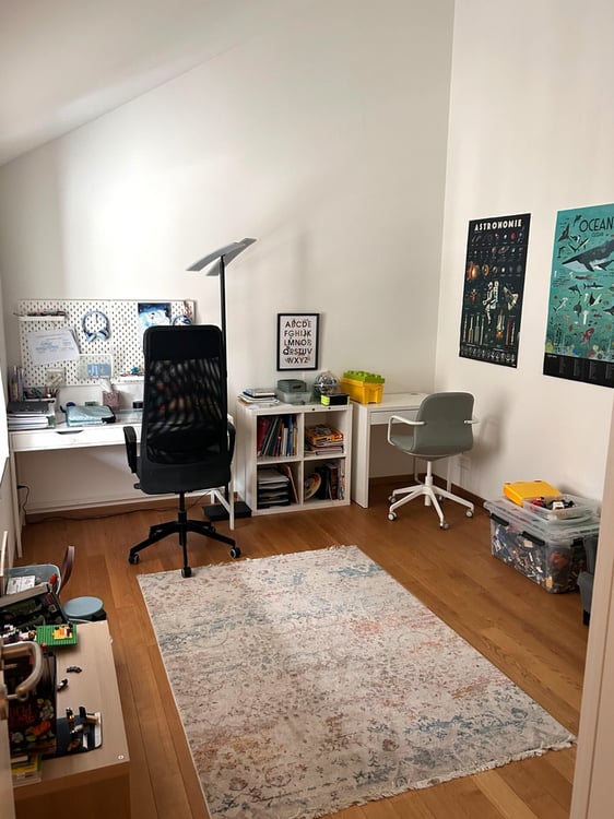 Grosszügige Maisonettewohnung im Grünen 5